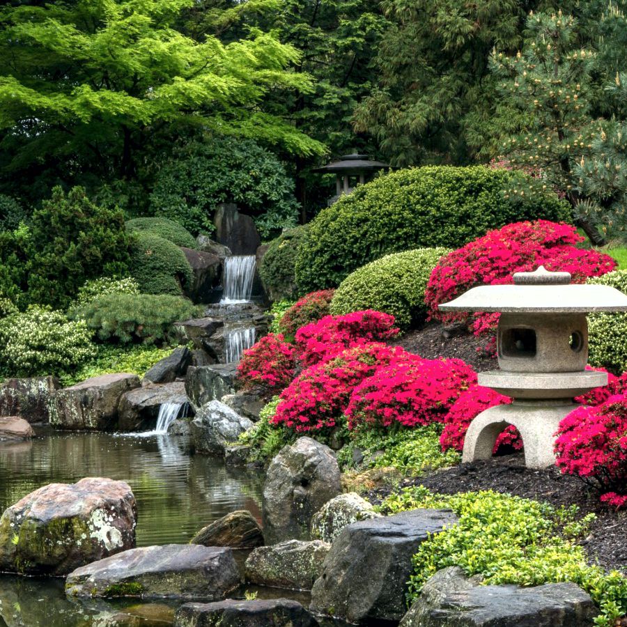 ландшафтный дизайн дачного участка японский сад